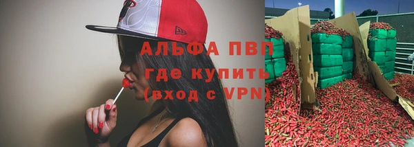 jwh Алзамай