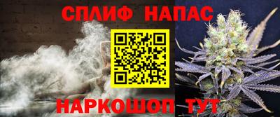 spice Гай