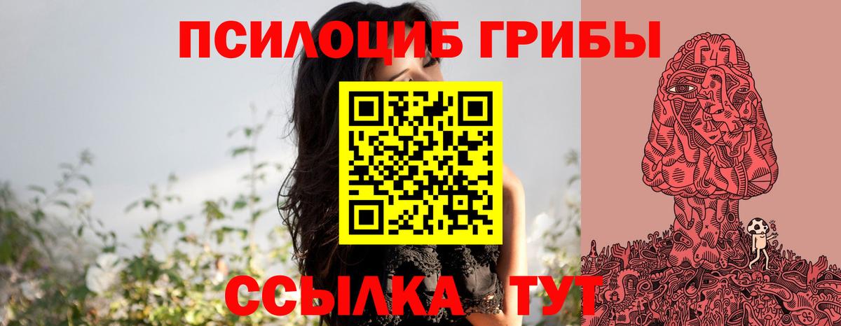 Псилоцибиновые грибы GOLDEN TEACHER Троицк