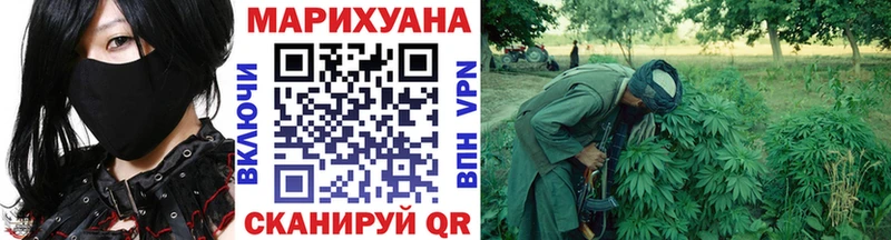 Конопля гибрид  купить   Троицк 
